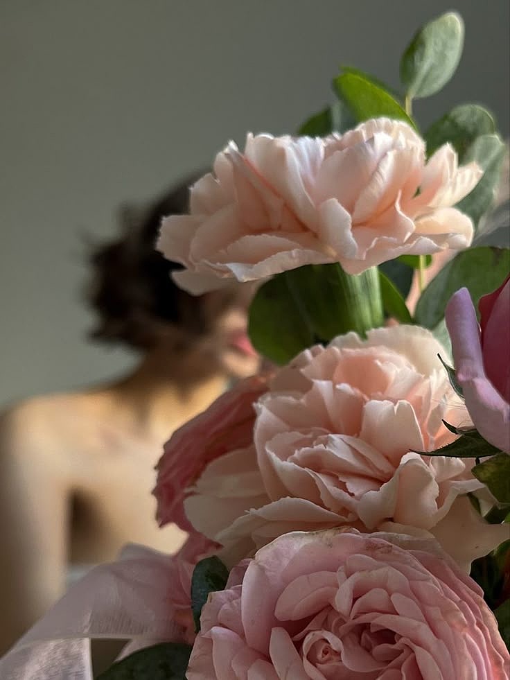 一园芳菲入梦来