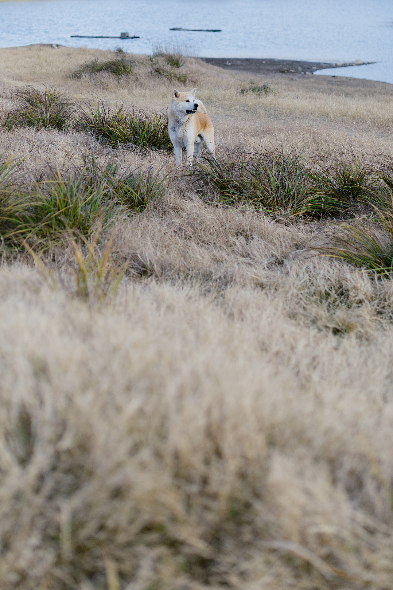 四岭水库荡荡（图ZNDAwMjIyMDY4） - 其他摄影 - 站酷设计师洪小漩原创素材 - 站酷ZCOOL