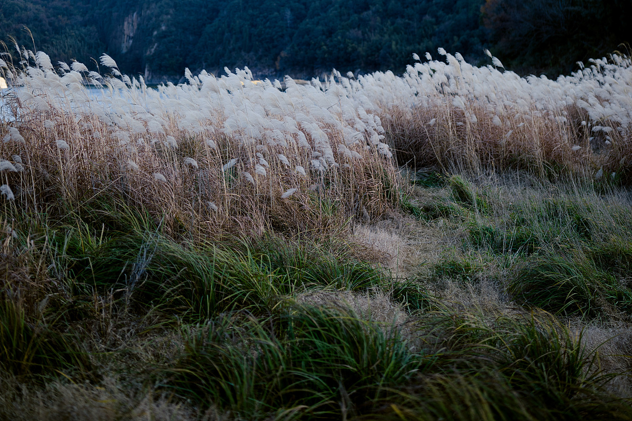 四岭水库荡荡（图ZNDAwMjIyMDky） - 其他摄影 - 站酷设计师洪小漩原创素材 - 站酷ZCOOL