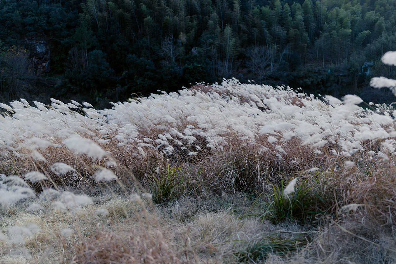 四岭水库荡荡（图ZNDAwMjIyMDU2） - 其他摄影 - 站酷设计师洪小漩原创素材 - 站酷ZCOOL