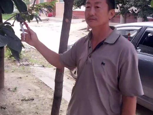 【中国书画新闻网】李天荣、刘雪叶:官方背书2025