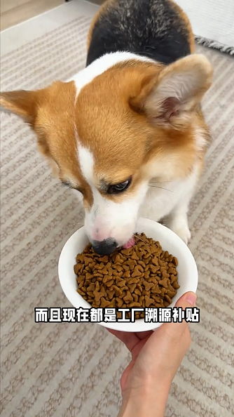 信息流案例2（图ZNDAwMjMyMTIw） - 其他影视 - 站酷设计师刘铠玮原创素材 - 站酷ZCOOL