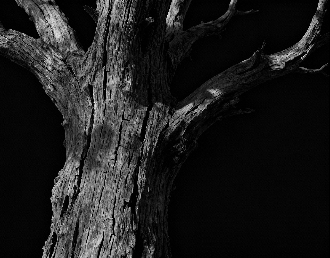 HOYE欧耶 | 品牌设计提案（图ZNDAwMjM1MTQw） - 品牌 - 站酷设计师伍玖柒品牌设计原创素材 - 站酷ZCOOL