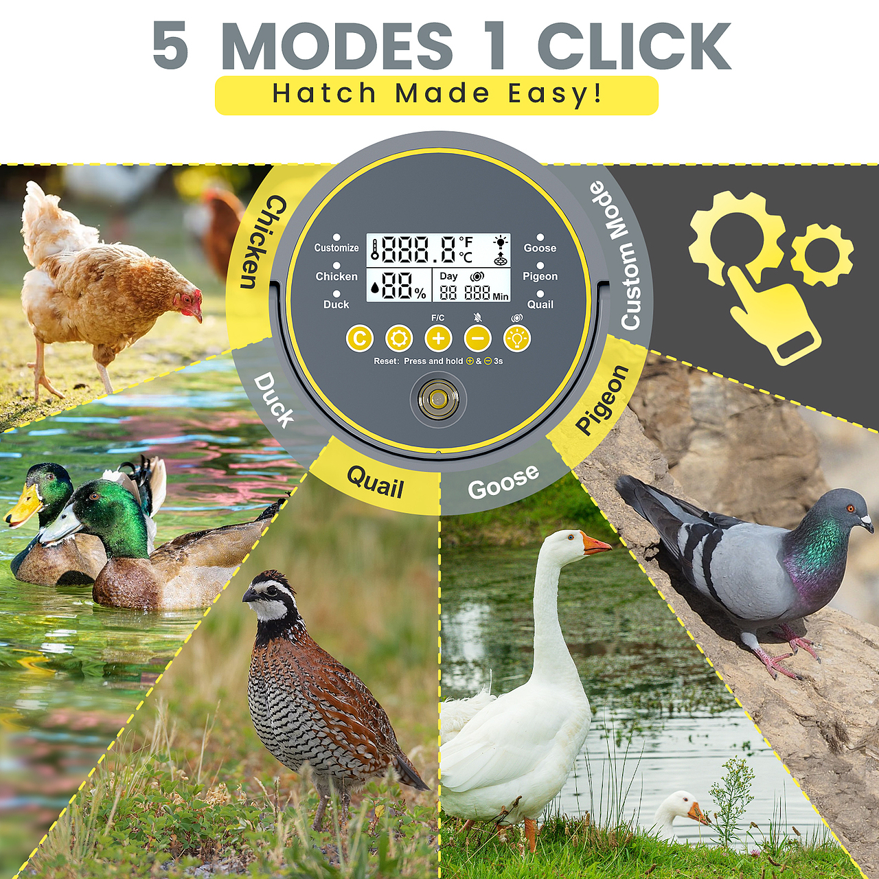 亚马逊电商设计-孵蛋器