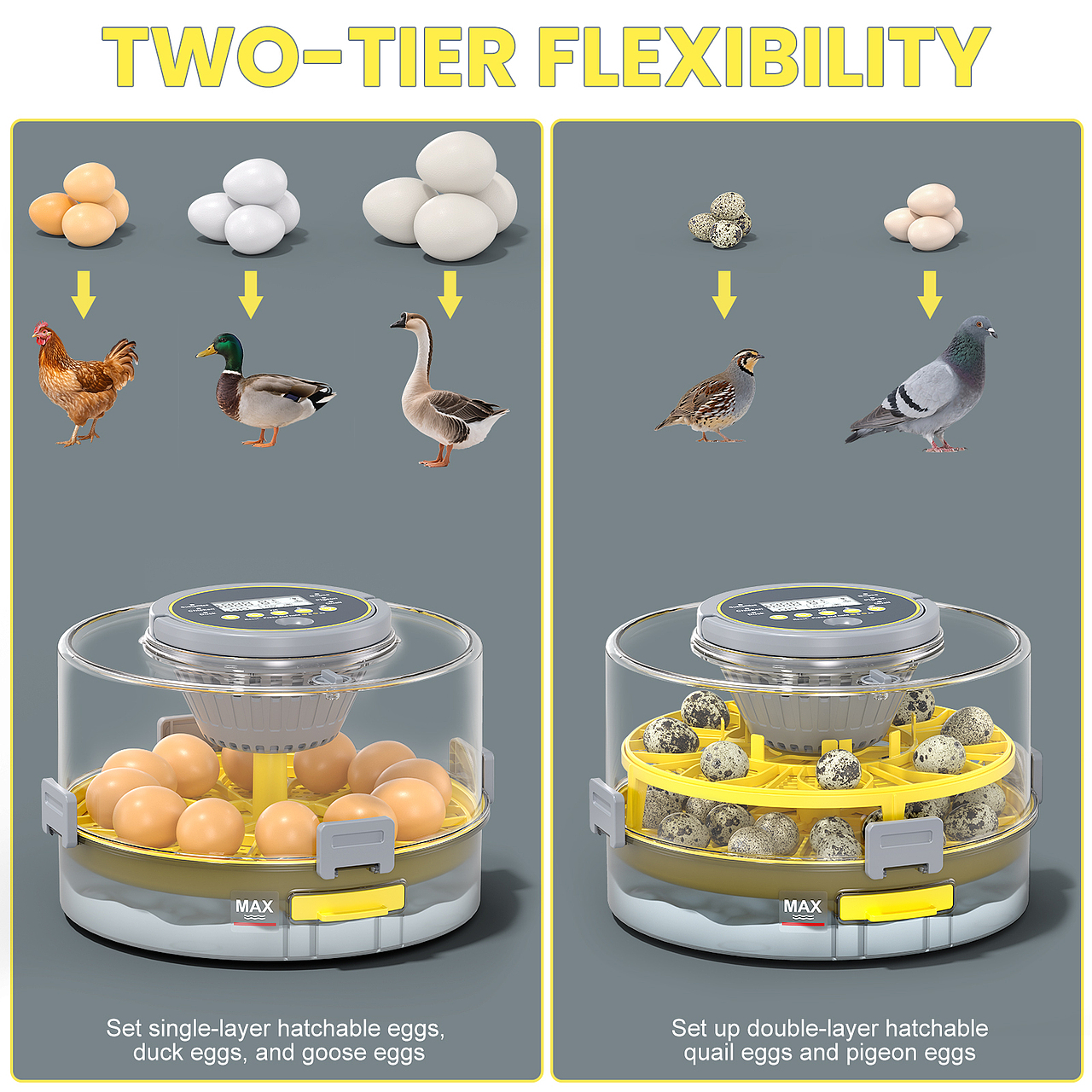 亚马逊电商设计-孵蛋器