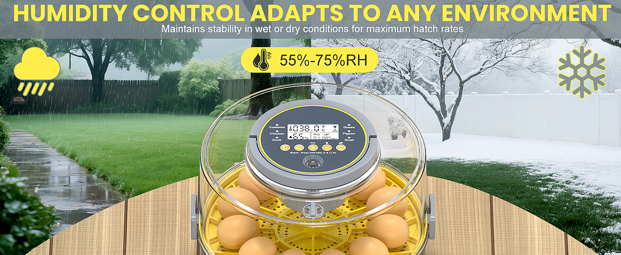 亚马逊电商设计-孵蛋器