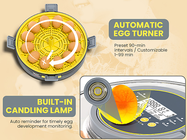 亚马逊电商设计-孵蛋器