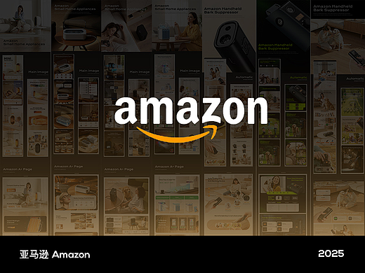 2025 亚马逊-小家电