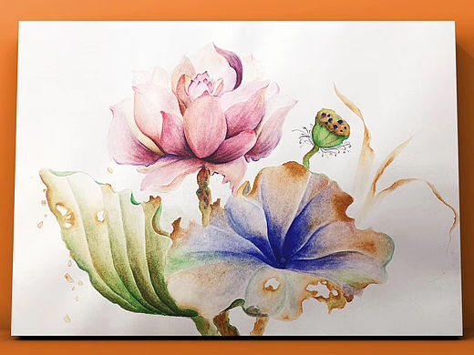 水彩手绘｜清荷