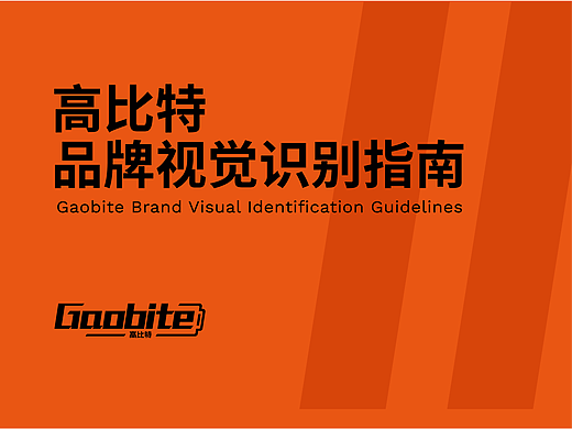 电池电子科技品牌VIS