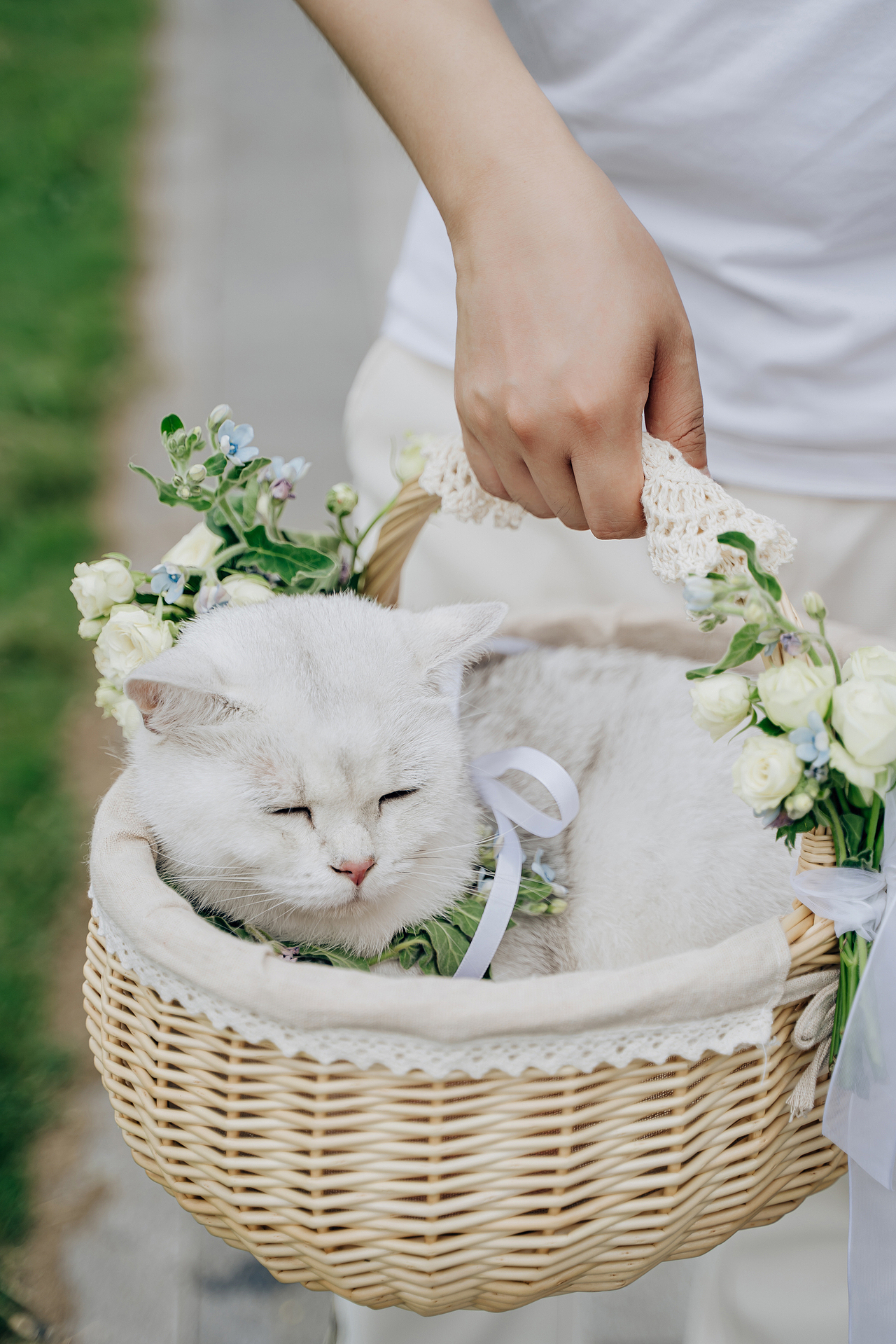 户外婚礼（图ZNDAwMjcyNTAw） - 人像摄影 - 站酷设计师STORYLEN王佳乐原创素材 - 站酷ZCOOL