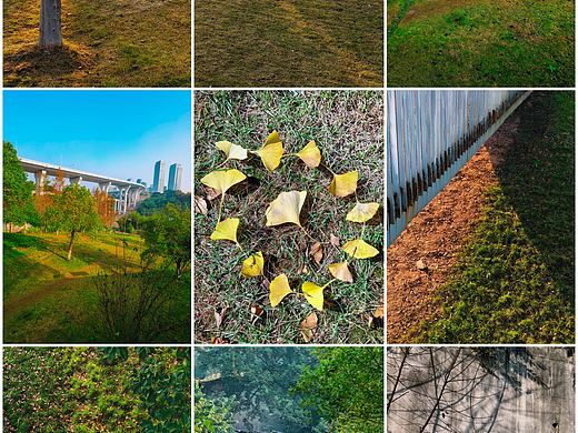 秋阳下的园子，美成了静谧的诗