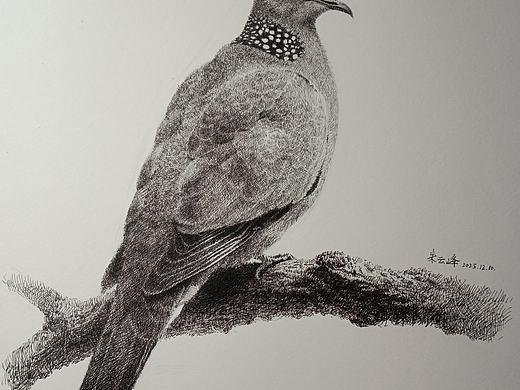 钢笔画小品系列