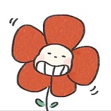阿狸不吃梨的头像