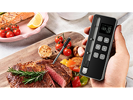 渲染+拍攝  探針溫度計(jì)