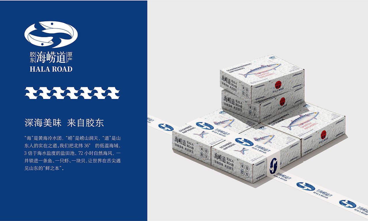 “海崂道”水产品品牌设计提案（图ZNDAwMzEzNTUy） - 包装 - 站酷设计师Z565117372原创素材 - 站酷ZCOOL