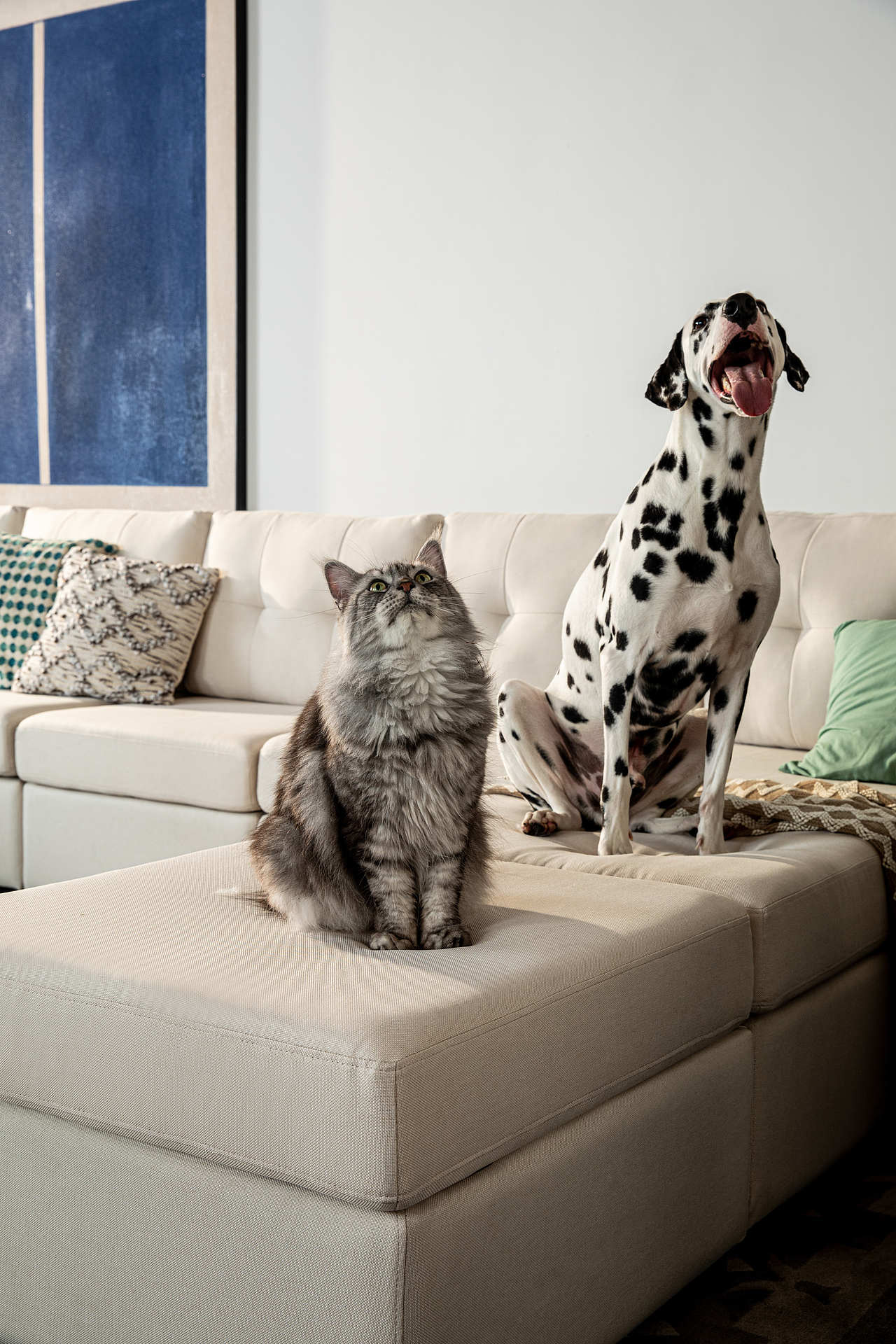 家具摄影|亚马逊海外独立站沙发拍摄