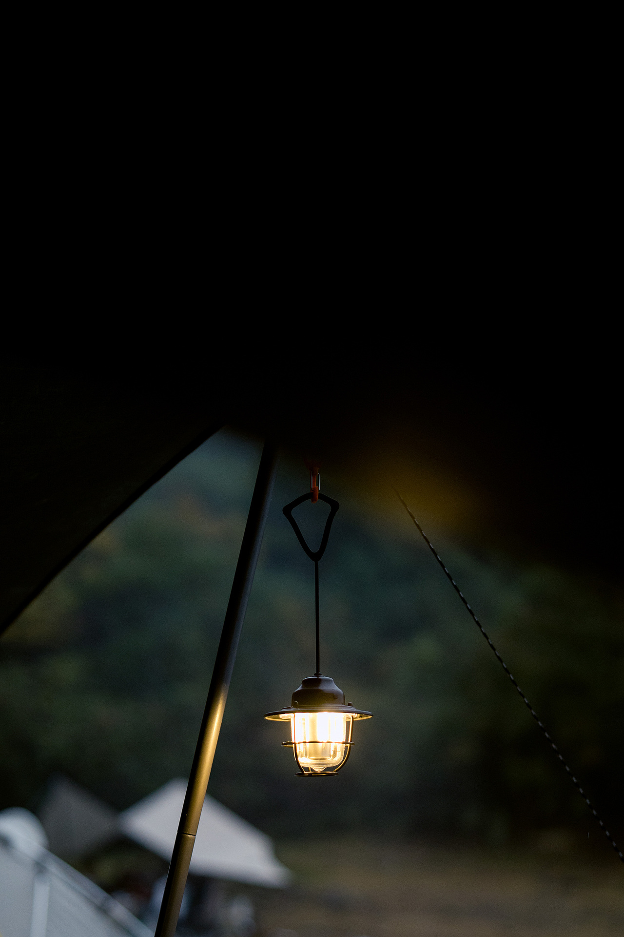 去大自然俱乐部里一起玩