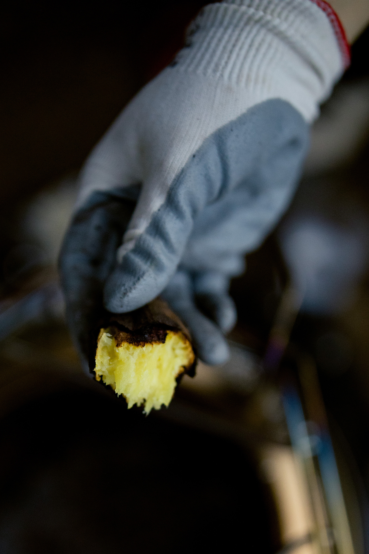 去大自然俱乐部里一起玩