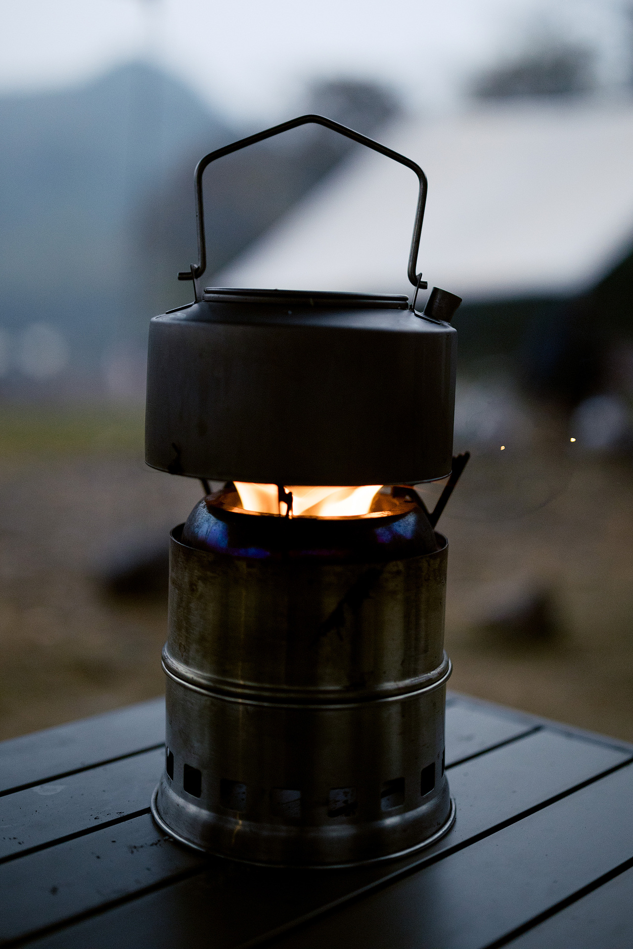 去大自然俱乐部里一起玩