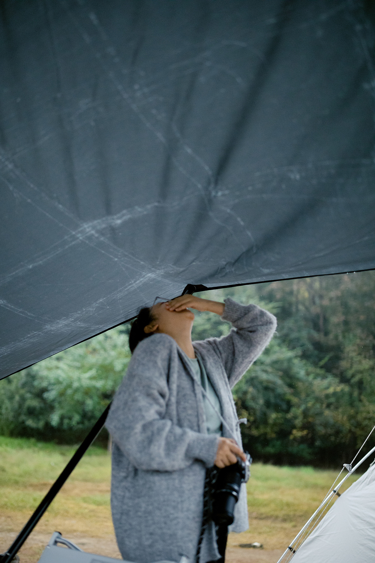 去大自然俱乐部里一起玩