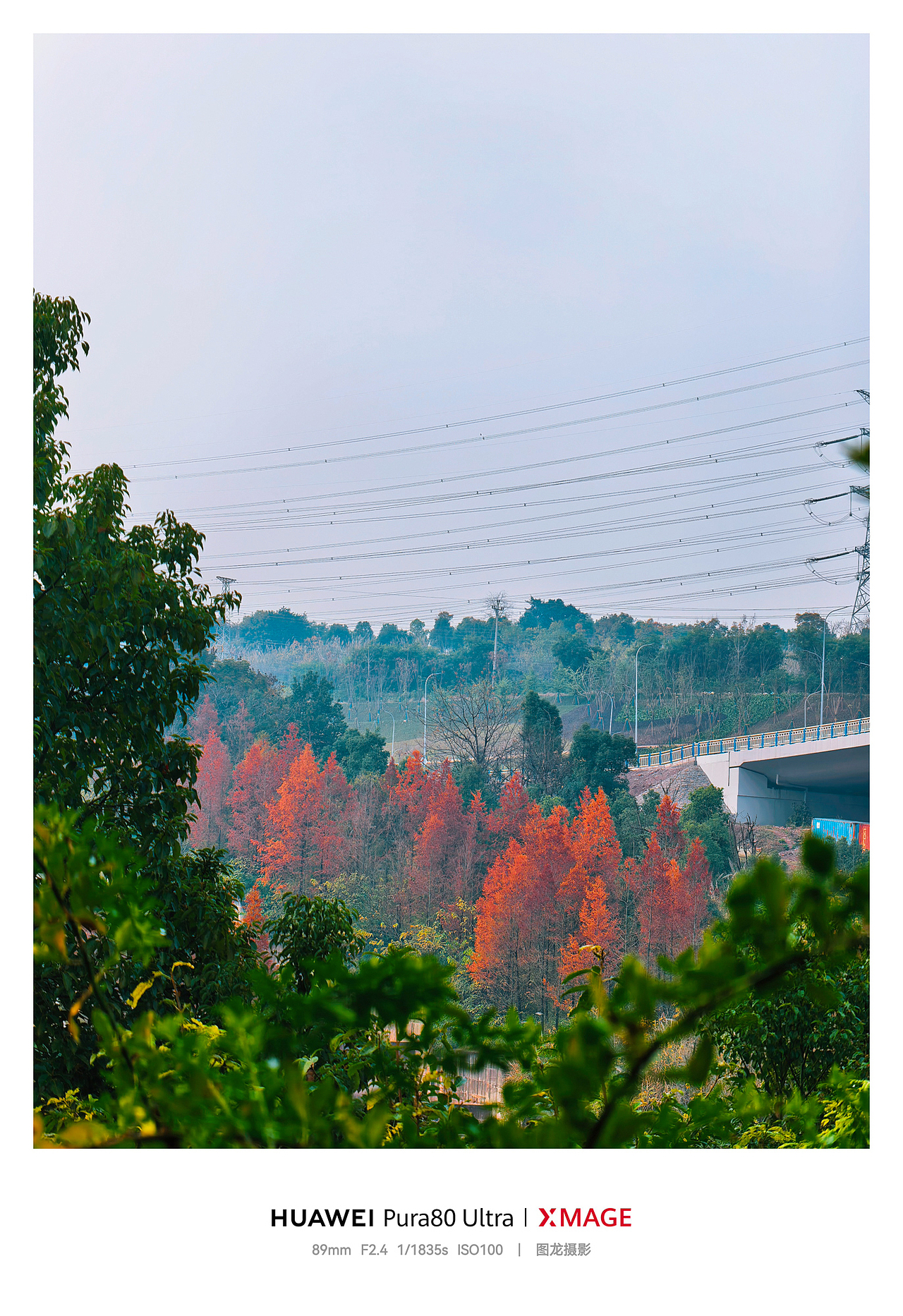 手机摄影笔记｜这些秋景，是季节寄来的温柔信笺（图ZNDAwMzIyMDQ0） - 风光摄影 - 站酷设计师图龙摄影原创素材 - 站酷ZCOOL