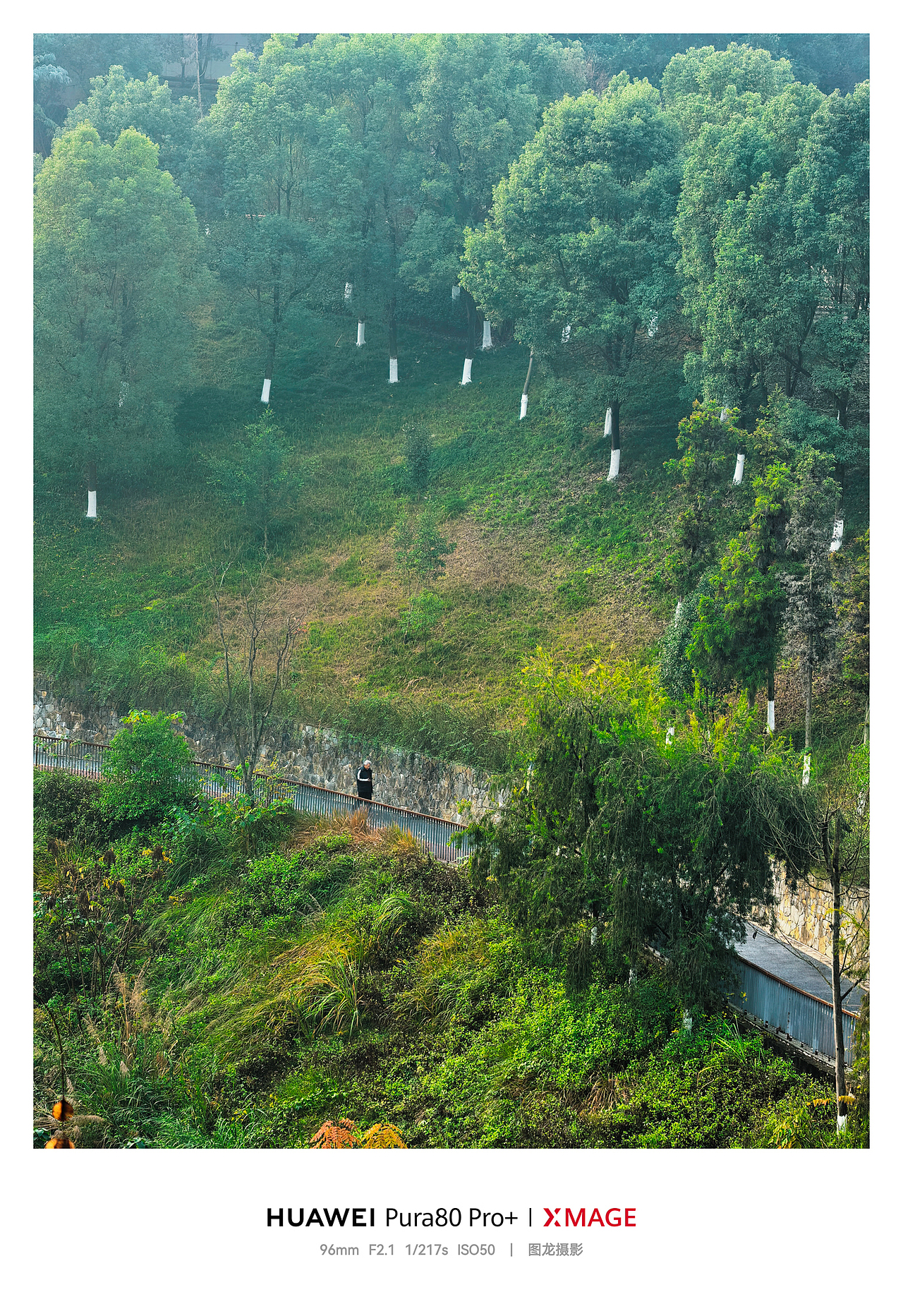 手机摄影笔记｜这些秋景，是季节寄来的温柔信笺（图ZNDAwMzIyMDcy） - 风光摄影 - 站酷设计师图龙摄影原创素材 - 站酷ZCOOL