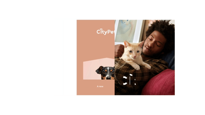 省狮原创|CityPet重构城市养宠的科技品牌(图ZNDAwMzM3NzYw) - 品牌 - 站酷设计师lionpro省狮品牌原创素材 - 站酷ZCOOL