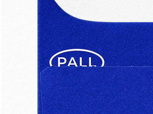 美国PALL颇尔公司Pall Corporation企宣策划定位设计