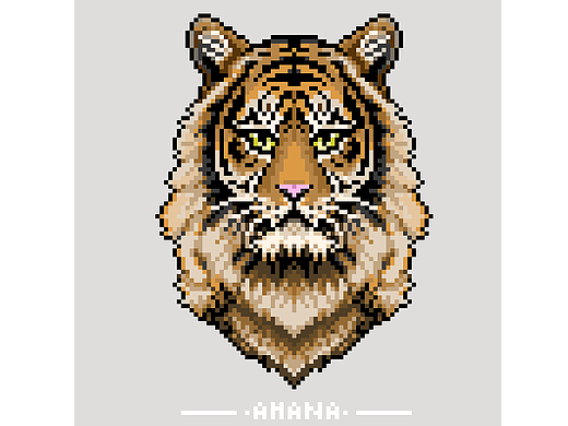 虎哥，请多担待！！