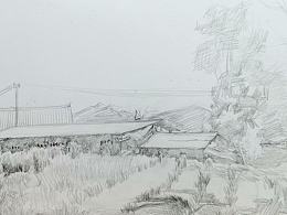 《故园秋草》钢笔画