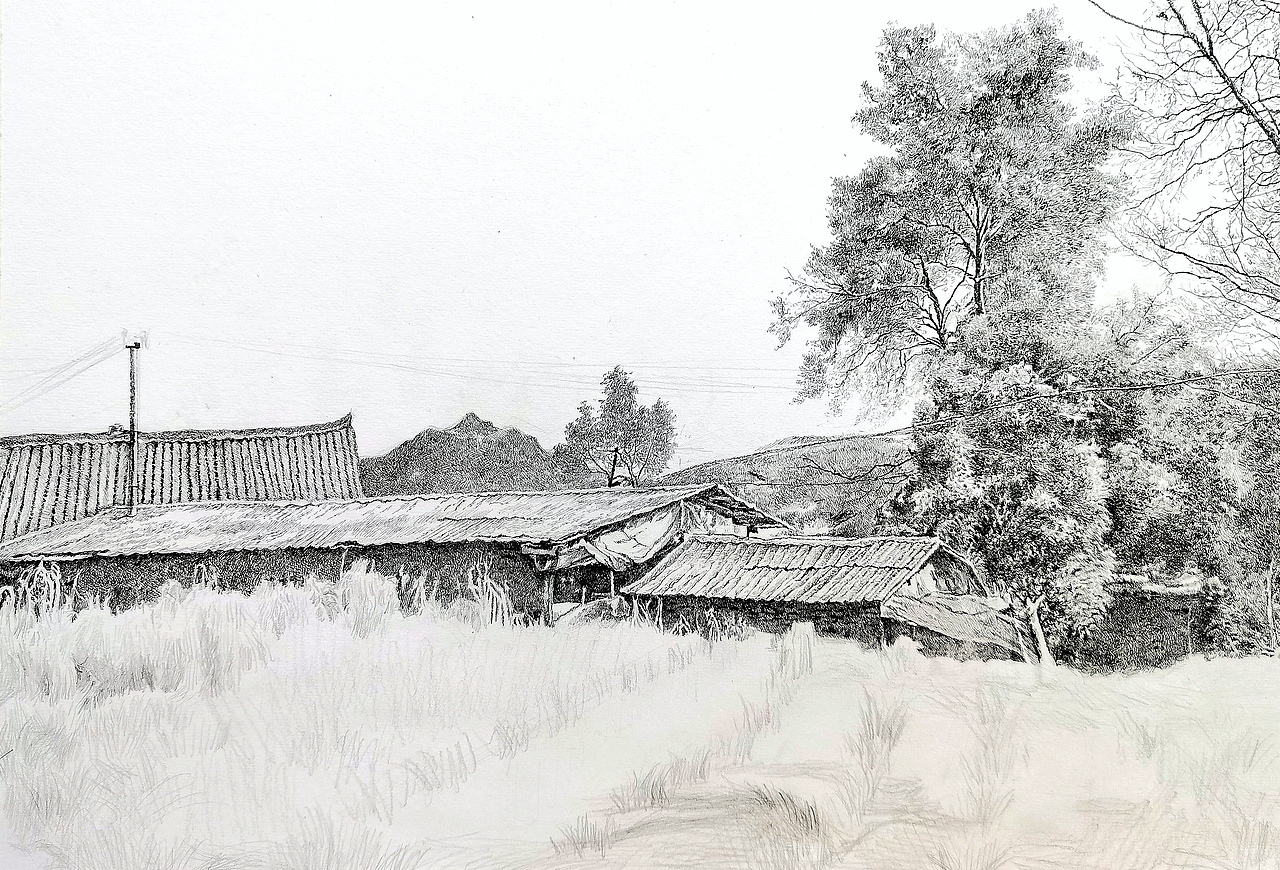 《故园秋草》钢笔画（图ZNDAwMzcyMDk2） - 绘画 - 站酷设计师朱胜培钢笔画原创素材 - 站酷ZCOOL