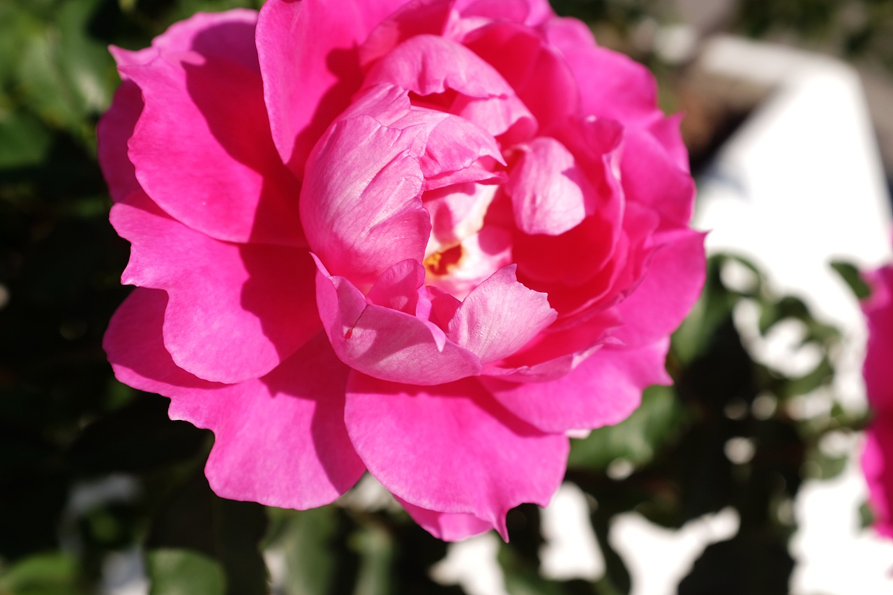 冬日珠海（图ZNDAwMzc1NjQ4） - 风光摄影 - 站酷设计师风流阿k原创素材 - 站酷ZCOOL