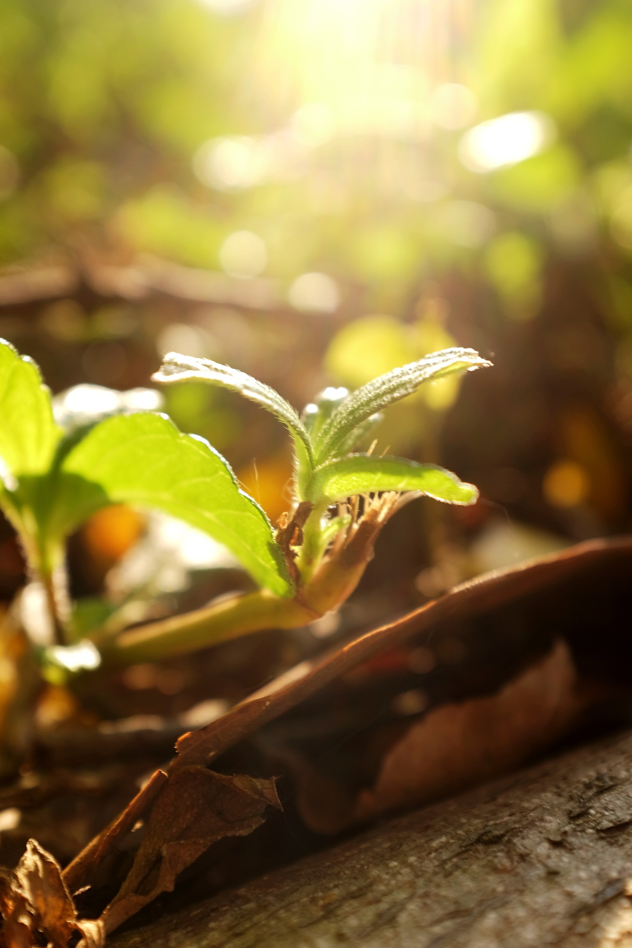 冬日珠海（图ZNDAwMzc1NjM2） - 风光摄影 - 站酷设计师风流阿k原创素材 - 站酷ZCOOL