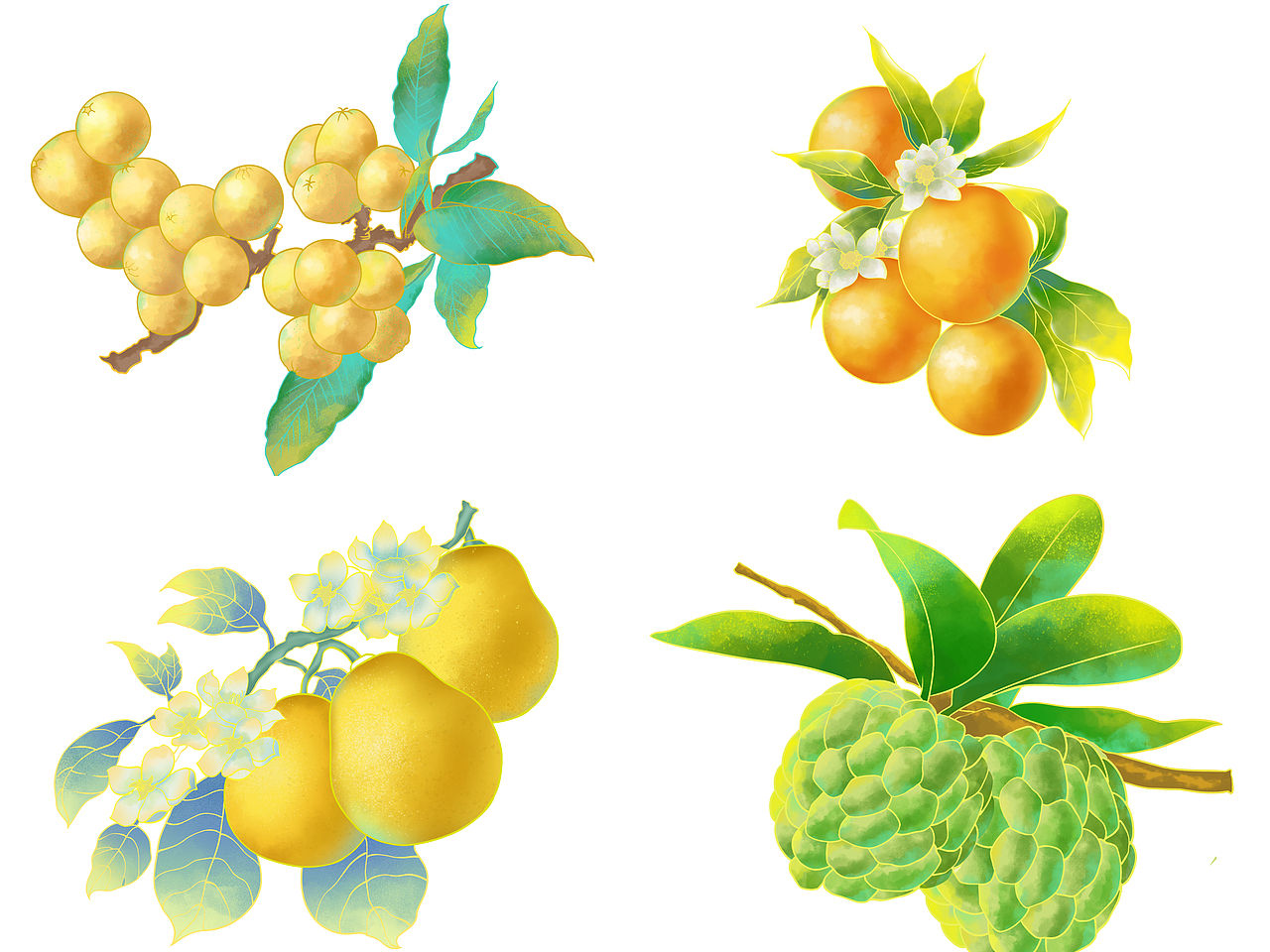 攀枝花水果系列插画（图ZNDAwMzc4NjU2） - 图案 - 站酷设计师小羊芝士饼原创素材 - 站酷ZCOOL