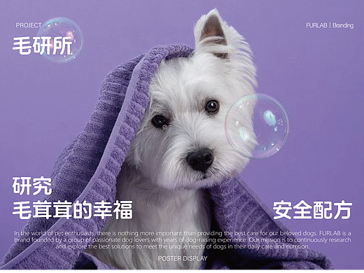 FURLAB毛研所丨宠物品牌全案设计