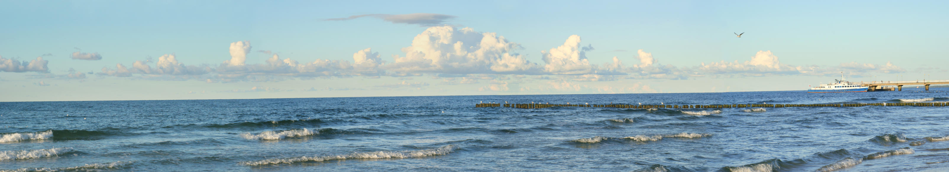 波利海苔的个人主页（背景预览） - 主页背景设置 - 站酷设计师波利海苔原创素材 - 站酷ZCOOL