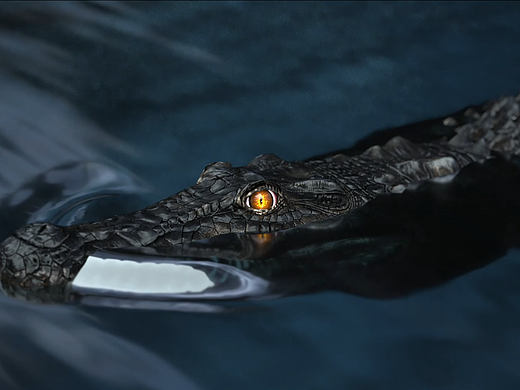 ONE80Crocodile飞镖宣传视频