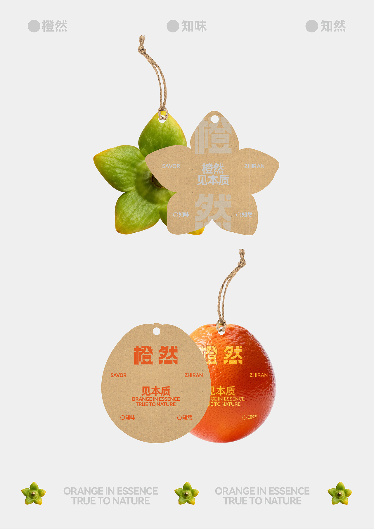 橙然品牌设计|自然博物馆（图ZNDAwNDA3NDQ4） - 品牌 - 站酷设计师娜公子包装设计原创素材 - 站酷ZCOOL