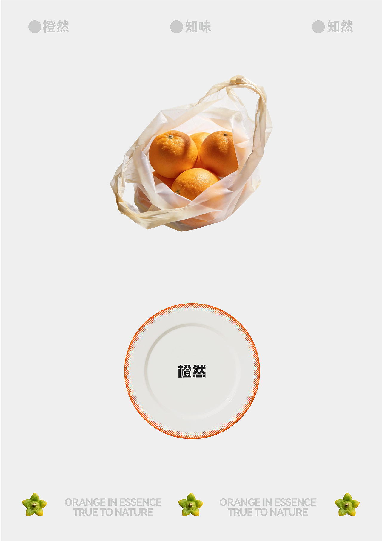 橙然品牌设计|自然博物馆