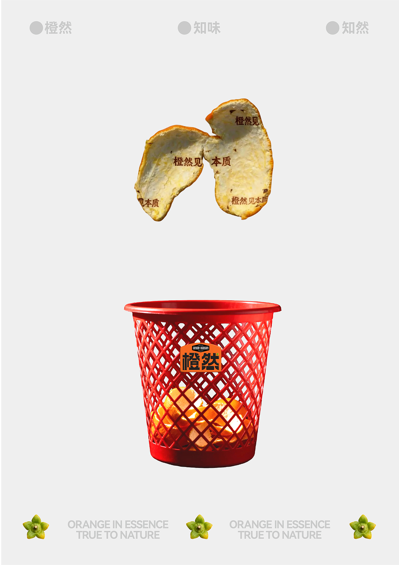 橙然品牌设计|自然博物馆