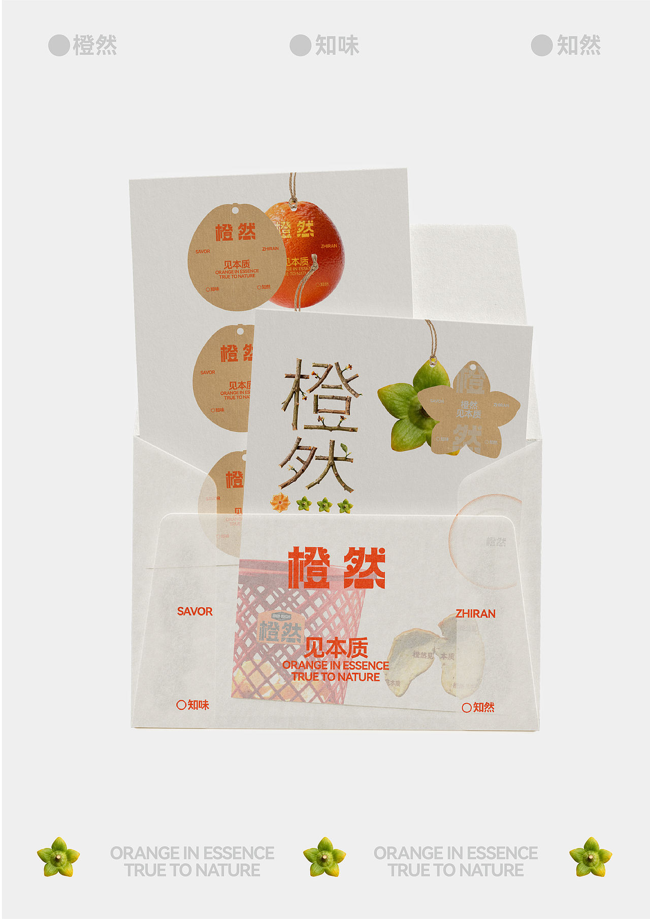 橙然品牌设计|自然博物馆（图ZNDAwNDA3NDYw） - 品牌 - 站酷设计师娜公子包装设计原创素材 - 站酷ZCOOL