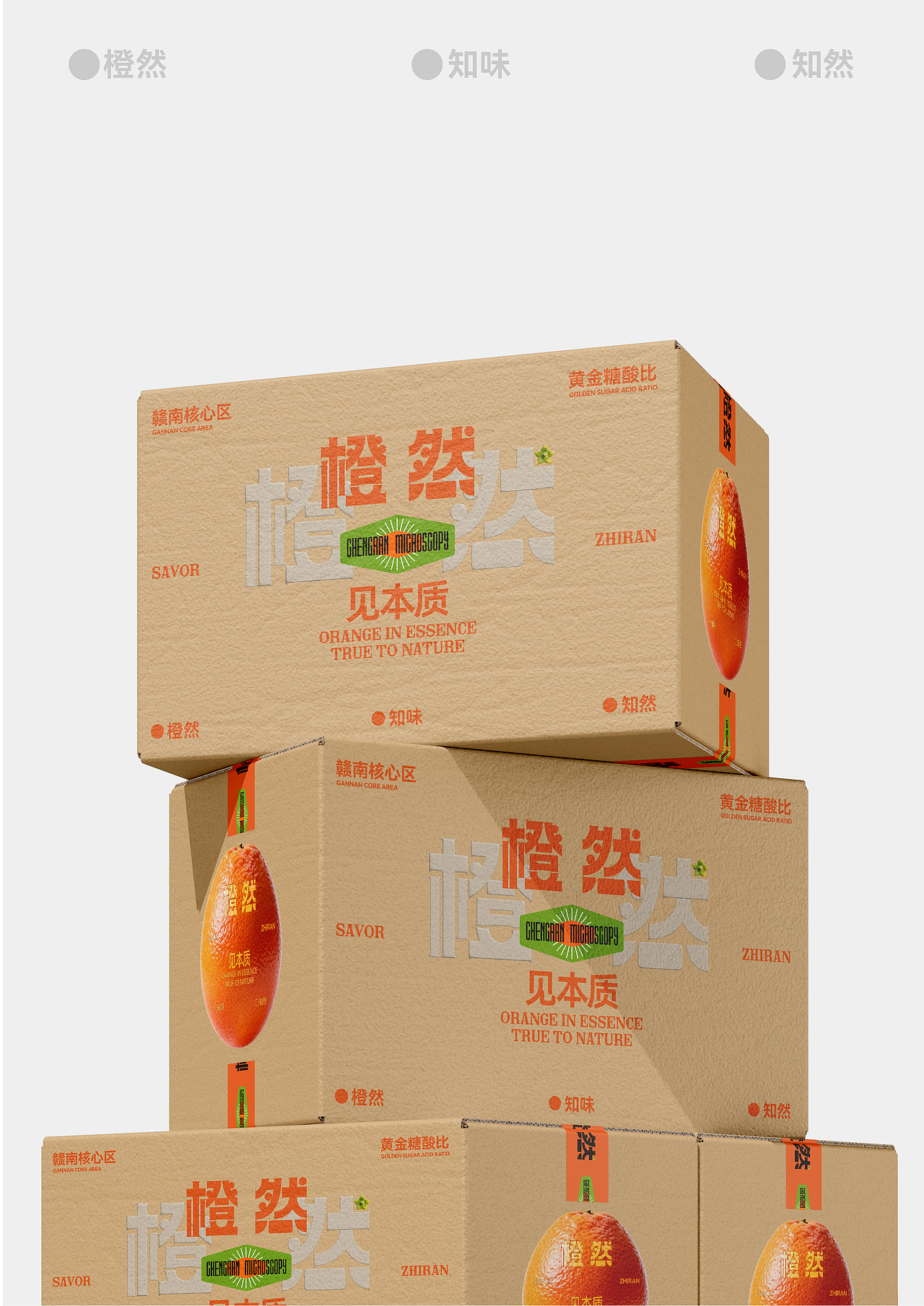 橙然品牌设计|自然博物馆（图ZNDAwNDA3NDY0） - 品牌 - 站酷设计师娜公子包装设计原创素材 - 站酷ZCOOL