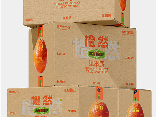 橙然品牌设计|自然博物馆