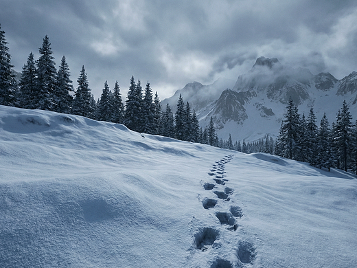 用可靈 AI 搭建的冰封世界（個人主頁-ZNzI5MzgwMjQ=） - 短片 - 站酷設(shè)計師AIGC煉丹師原創(chuàng)素材 - 站酷ZCOOL