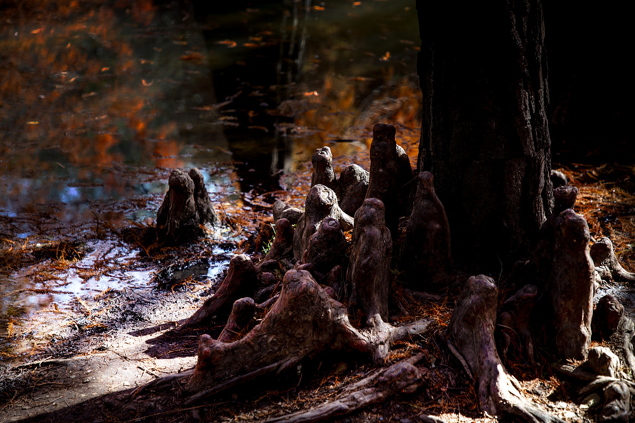 灵气（图ZNDAwNDk4MzYw） - 风光摄影 - 站酷设计师春居客原创素材 - 站酷ZCOOL