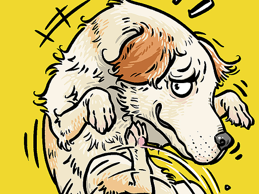 春风得意狗爪疾，一日看尽长安花