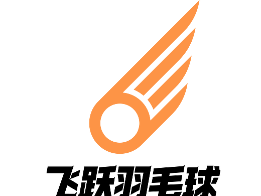 飞跃羽毛球视觉识别系统应用手册
