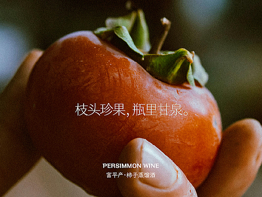 浮原碧月·柿明月·富平柿子酒