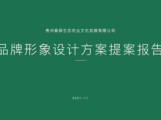 多年前的VI设计，把它保存一下。